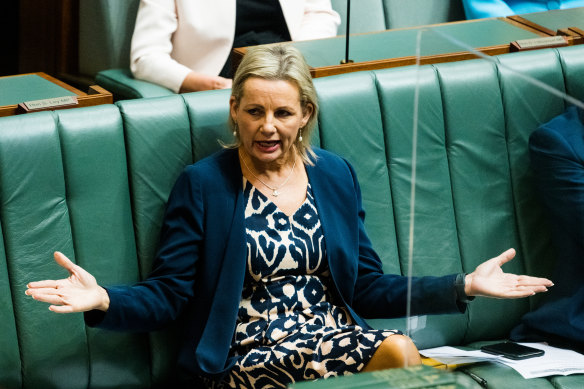 Deputy Liberal party leader Sussan Ley.
