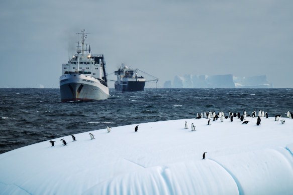 Chinstrap penguins on the ice in Antarctica with supertrawlers in the background.