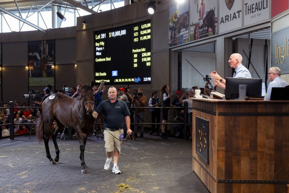 Winx’s only filly sold for $10 million on Monday.