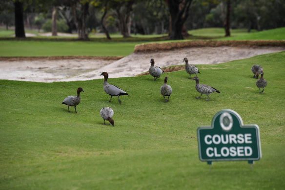 Northern Golf Club is closed, like all clubs across Victoria.