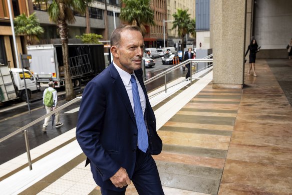 Former prime minister Tony Abbott has been blocked from the parliamentary inquiry into potential legal risk of the Voice to parliament.