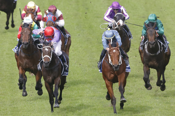 Flag Of Honour (right) gets the better of Alberich at Rosehill.