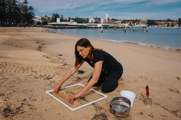 Dr Natasha Franklin, science officer at Ausmap, counting microplastics at Manly Cove.