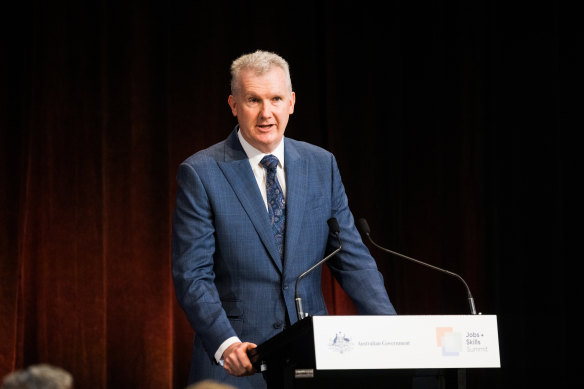 Industrial Relations Minister Tony Burke addressing today’s summit. 