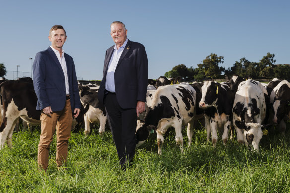 Tony Perich and his son Mark on the dairy farm of family’s Leppington Pastoral Company.