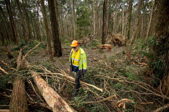 Animal rescuer Manfred Zabinskas at his property in Trentham with some fallen trees after the storm last week.