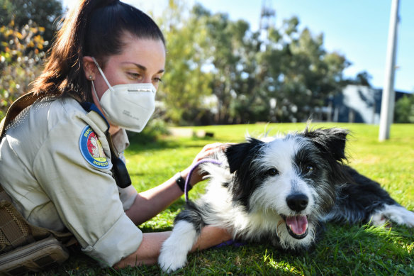The RSPCA's Lisa Calleja with rescued dog, Myrtle.