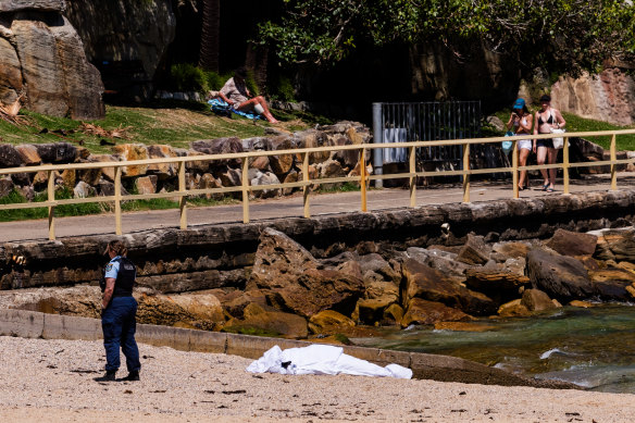 A person has died in a suspected diving incident at Shelly Beach in Manly.