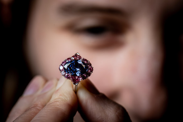 The Argyle Violet is on display at the Melbourne Museum from Saturday. 