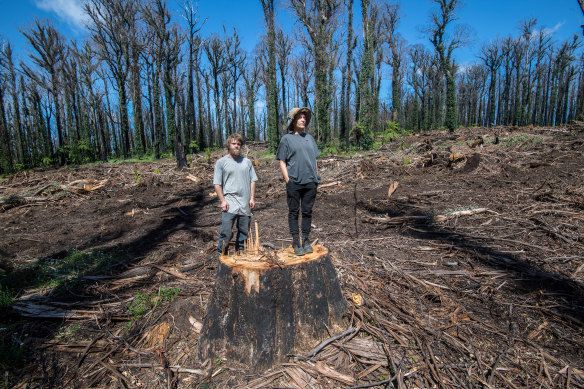 GECO environmental group members Owen Hanson and Chris Schuringa in a logged coupe near Gongerah, in East Gippsland.