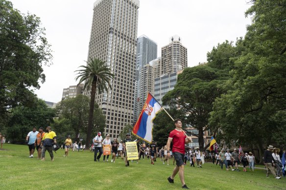 Protesters took to Melbourne’s streets and parks yesterday in support of Novak Djokovic. 