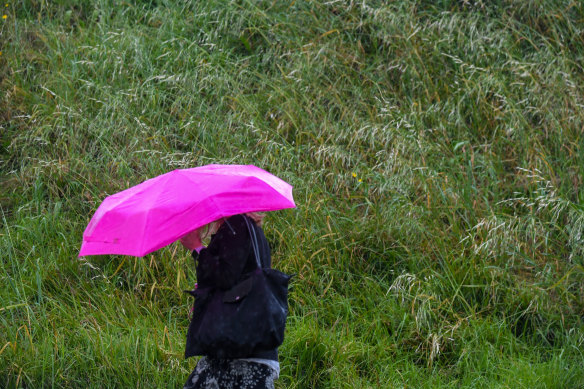 Rain rolled across Sydney on Wedneday. This year is set to be the city’s wettest year in history.