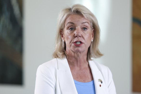 Coalition transport spokeswoman Bridget McKenzie.
