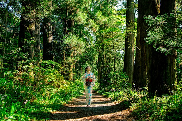 Dense forest, fresh mountain air perfumed with moss and towering cedars... and breathe.
