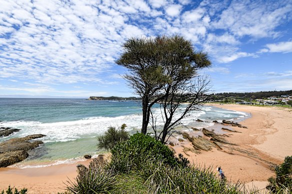 The median weekly rent for a house in Malua Bay fell by 31.4 per cent in the five years to March.