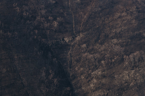 Fires have burnt through about 12 million hectares of Australia this season, or 1.5 times the size of Tasmania. 