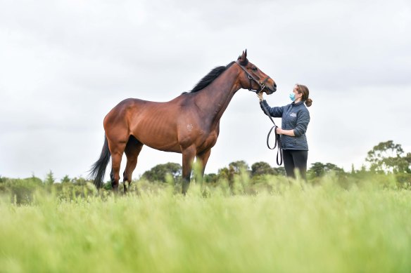 Young Werther is on song for this year’s Cup after being ruled out of the race last year due to injury.