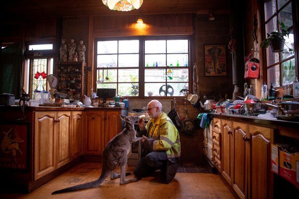 Mr Zabinskas with a kangaroo at his property in Trentham East.
