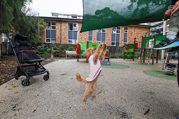 The old Heslehurst Reserve site at Brighton-le-Sands will become a more inviting space for teen girls.