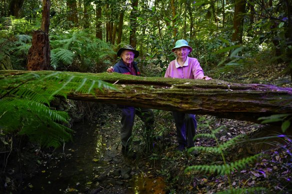 Ray and Elma Kearney, citizen scientists and fungi hunters in Lane Cove.