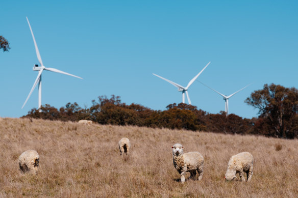 Australia has a comparative advantage –  we have abundant supplies of sun and wind.