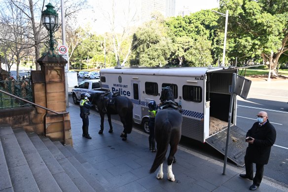 Police tend to their horses.