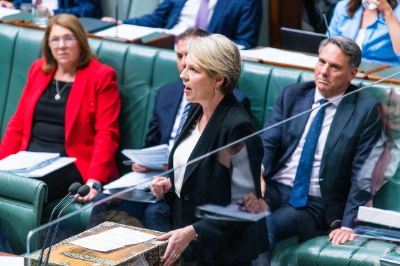 Environment Minister Tanya Plibersek took aim at the Greens in question time on Thursday.