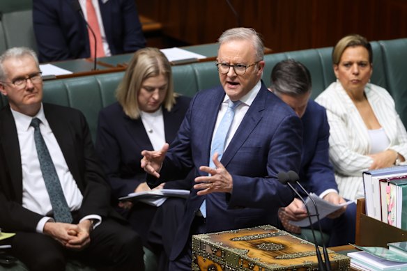 Prime Minister Anthony Albanese on his feet during question time. 