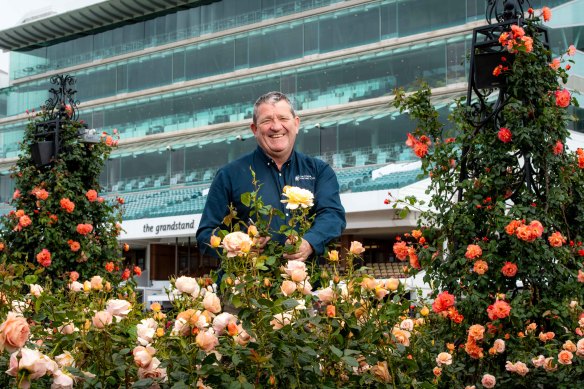 Mick Ryan is “the keeper of the roses” at Flemington.