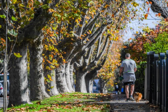 A bigger story would be if upmarket eastern suburbs welcomed public housing in their areas.