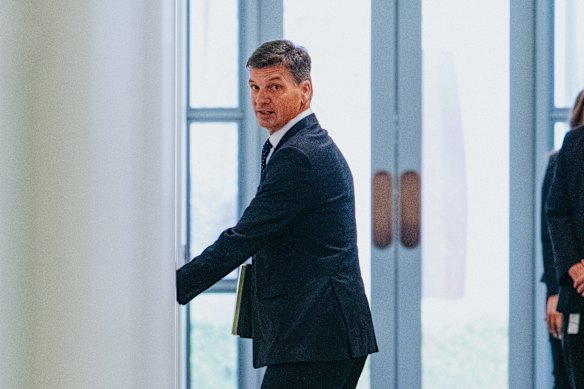 Angus Taylor released a statement supporting Sussan Ley two hours after his defeat. 