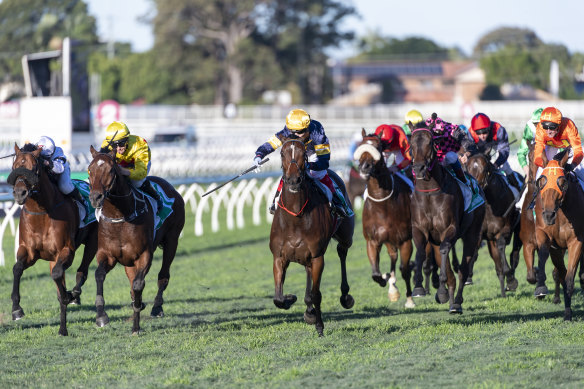 Tofane and Craig Williams (yellow cap) backed up their Stradbroke win with victory in the Tatt’s Tiara.
