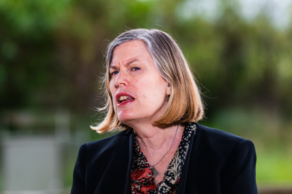 Chief Health Officer Kerry Chant pushed for NSW to consider drug-checking measures beyond pill-testing. 
