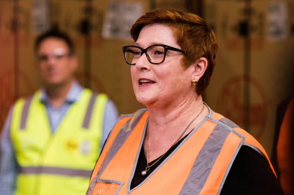 Foreign Minister Marise Payne campaigning in NSW earlier this month.
