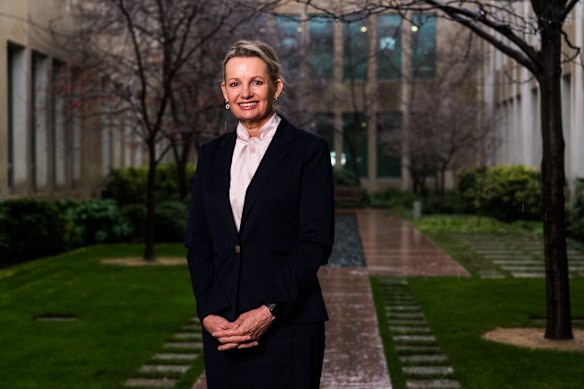 Sussan Ley was elected deputy leader of the Liberal Party in 2022.