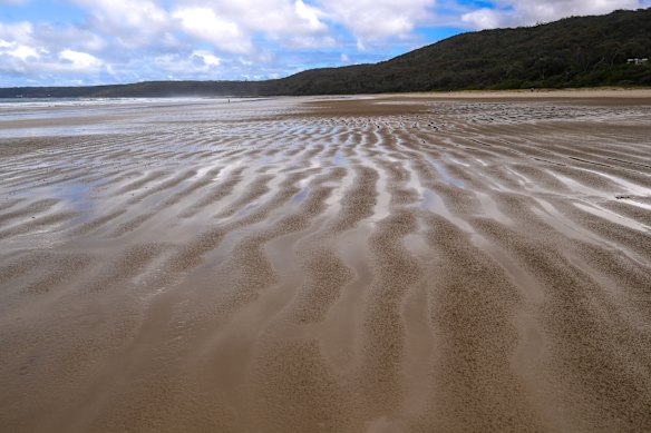 The pristine beach at Waratah Bay. Offshore wind company Gippsland Skies had planned to explore a cable route at the beach.