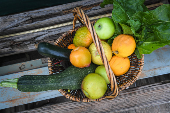 A basket of fruit and vegetables picked by the Lekatsases. 