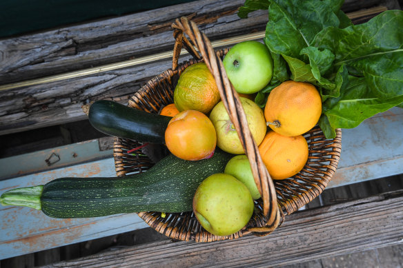 In my first few months in Lalor, neighbours came to visit or stopped me on the street. They brought me vegetables from their garden.