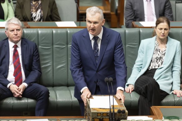 Tony Burke introduces the Secure Jobs, Better Pay bill on Thursday.