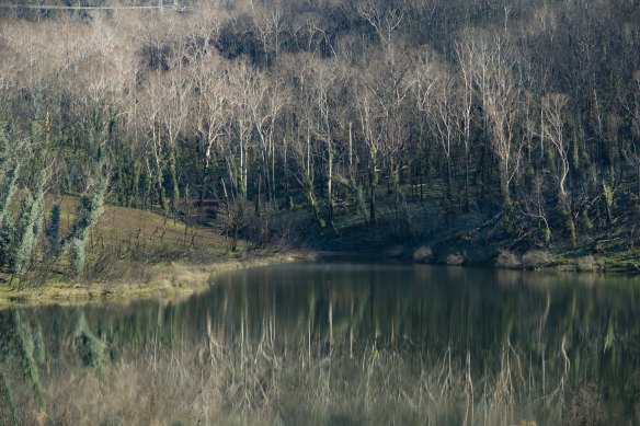 A view of the Talbingo Reservoir  in the Kosciuszko National Park in early August. Much of the park was hit hard by the January 2020 bushfires.