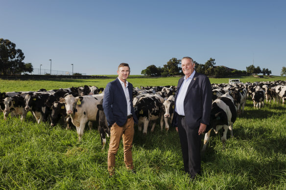 Tony Perich (right) and his son Mark Perich at their dairy farm at Bringelly, which is next to the site of the new airport.