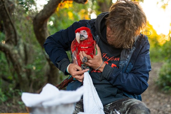 Volunteering with not-for-profit Rewilding Argentina takes in many remote locations – and important activities, such as species reintroduction.