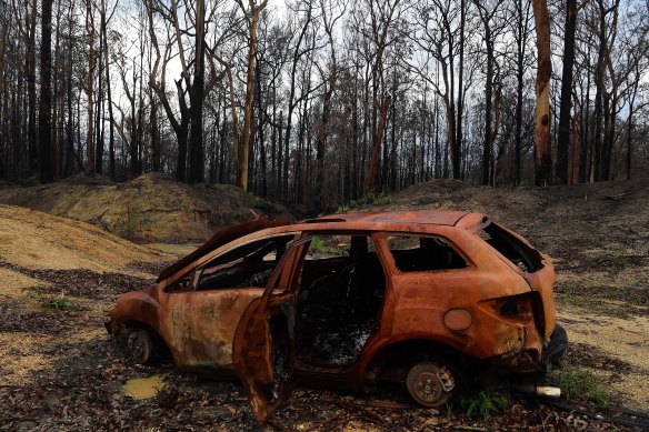 A burnt car that had been previously abandoned sits in Crowdy Bay National Park, near Johns River.