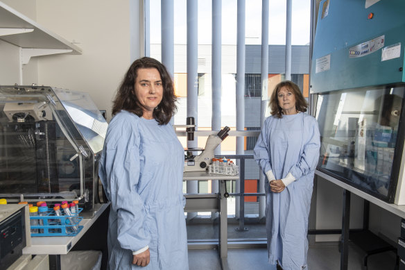  Associate Professor Meg Jardine and Professor Carol Pollock at the Kolling Institute of Medical Research.