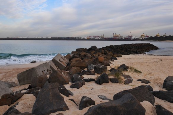 Randwick City and Bayside councils are opposed to the idea of a cruise ship terminal at Botany Bay.