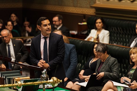 Sydney MP Alex Greenwich in parliament in 2019 before the Abortion Bill was passed.