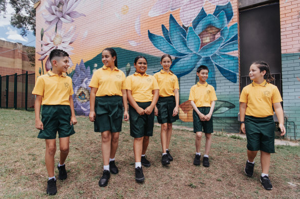 Year 5 students at Fairfield West Public achieved well-above average results when compared with students of a similar socio-educational background.