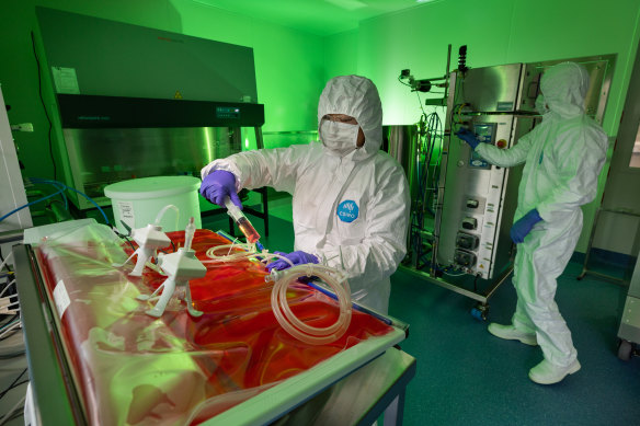 Biomedical scientists Mylinh La and David Bloomen at work in the CSIRO’s  new vaccine manufacturing lab. 