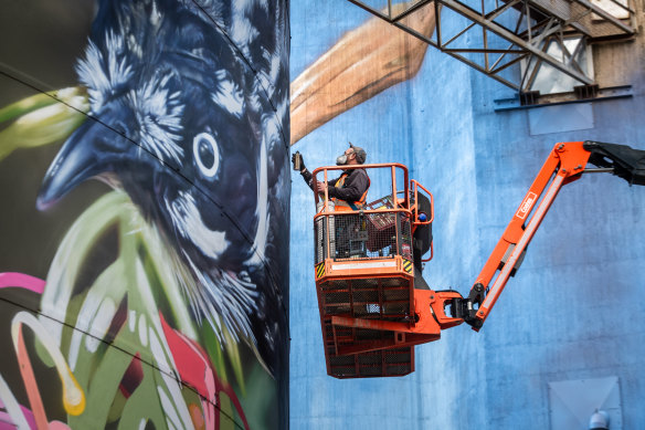 Dvate’s New Holland honeyeater is the third instalment in his Rochester silo art triology. 