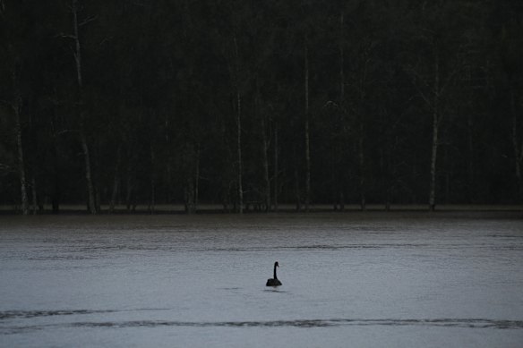 The sewage spilled into the Swan River.